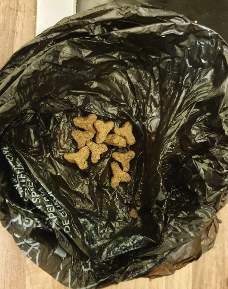 Giftköder-Futter versteckt im Gras-Profilbild