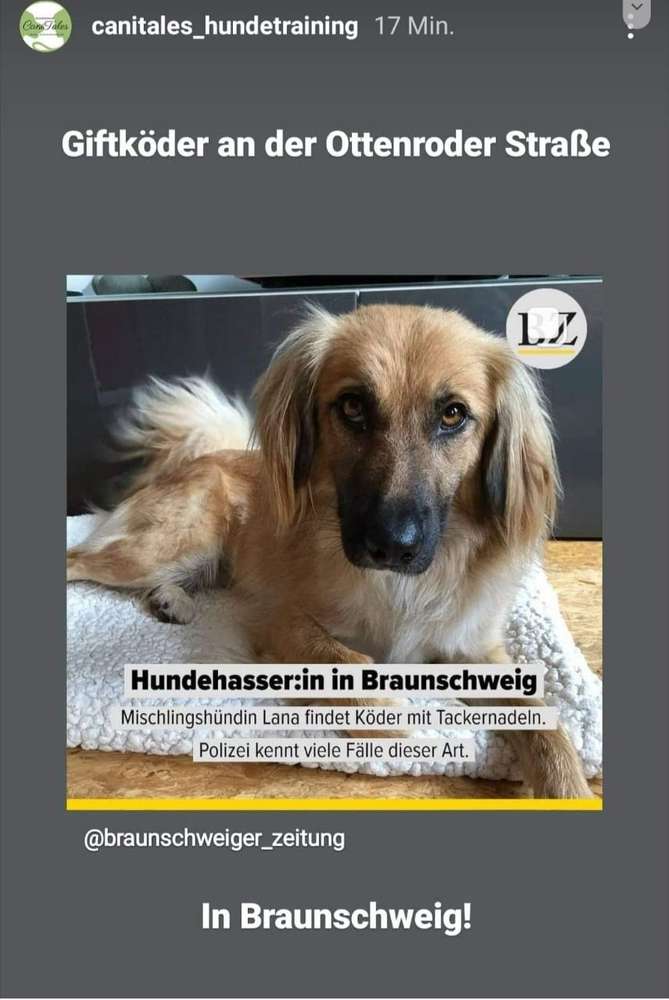 Giftköder-Köder an der Ottenroder Straße-Profilbild