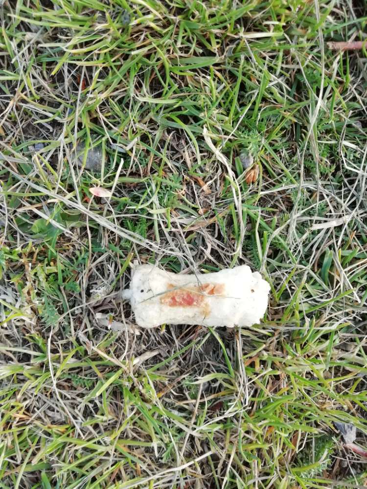 Giftköder-Verdächtiger Kauknochen-Profilbild