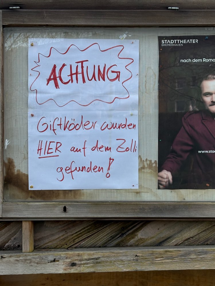 Giftköder-Giftköder-Profilbild