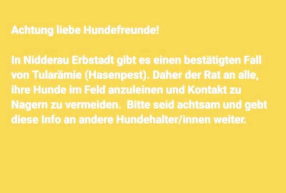 Giftköder-Vorsicht Hasenpest-Profilbild