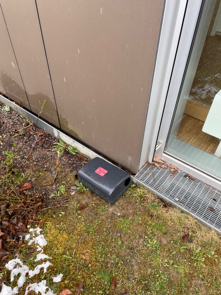 Giftköder-Rattengift-Profilbild