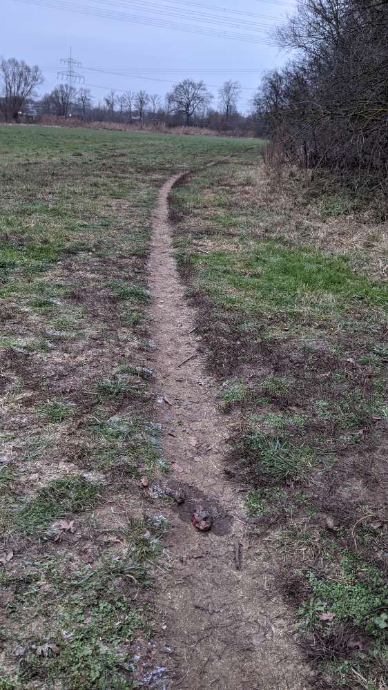 Giftköder-Kadaver-Profilbild