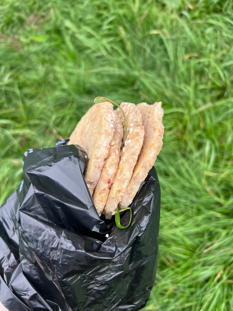 Giftköder-Seltsame Futterstücke auf der Wiese-Profilbild