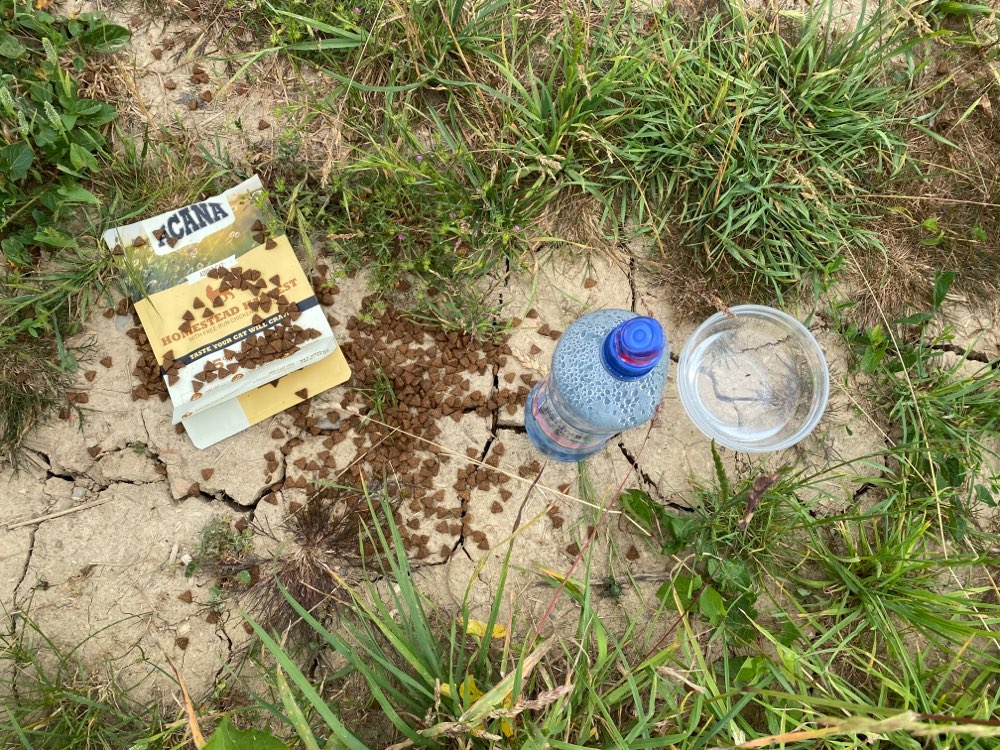 Giftköder-Ausgelegtes Futter-Profilbild