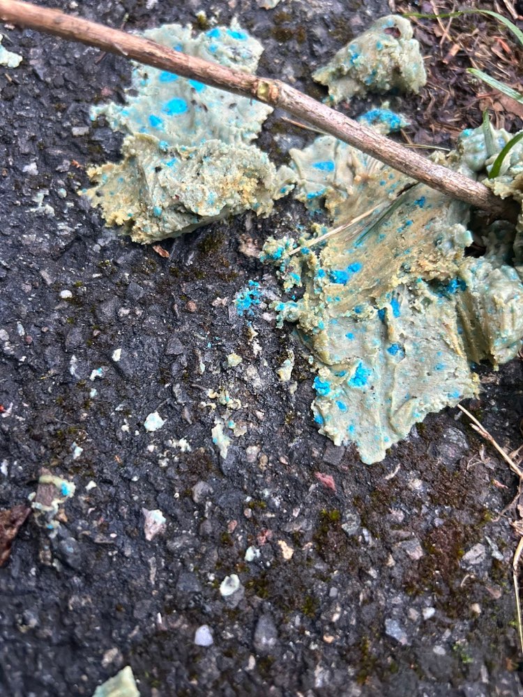 Giftköder-V.A. Blaues Schneckenkorn-Profilbild