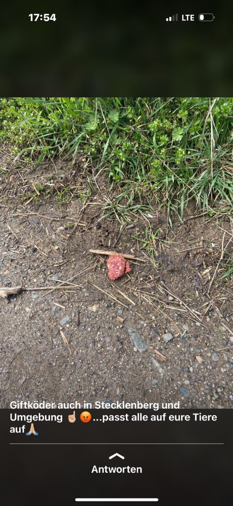 Giftköder-Giftköder-Profilbild