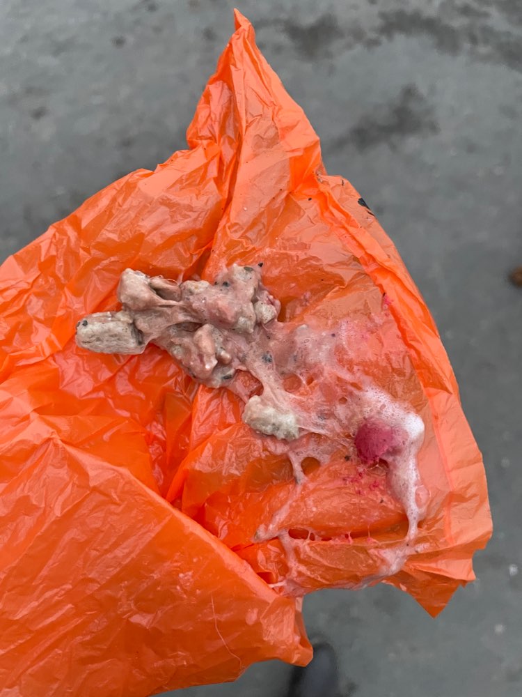 Giftköder-Futter mit undefinierbaren Stücken-Profilbild