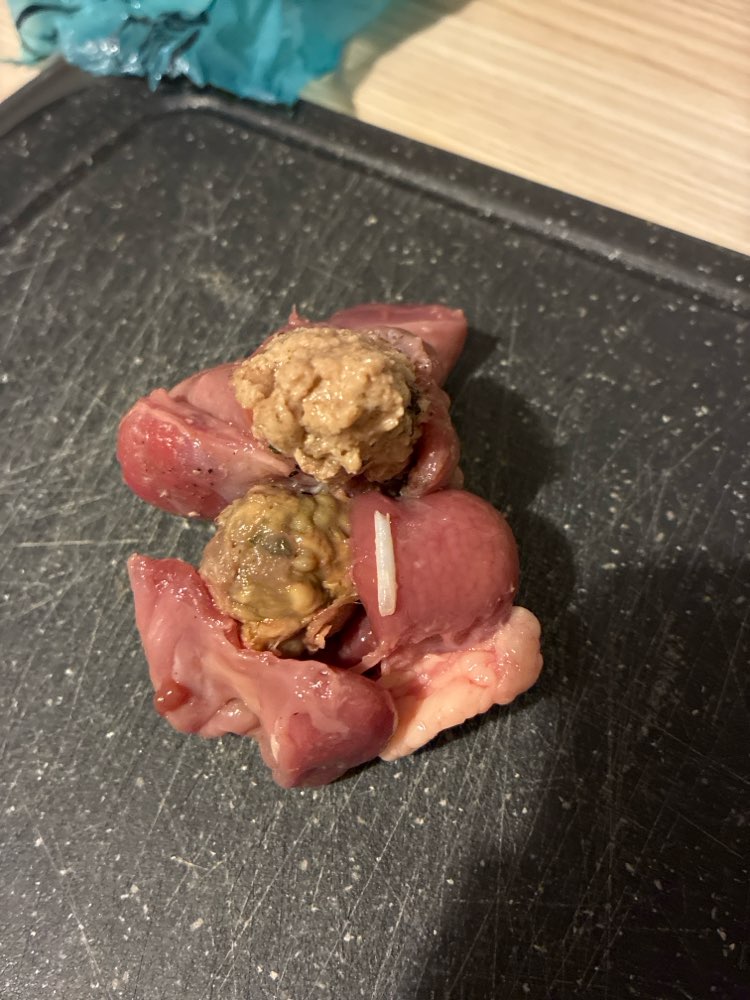 Giftköder-Giftköder-Profilbild