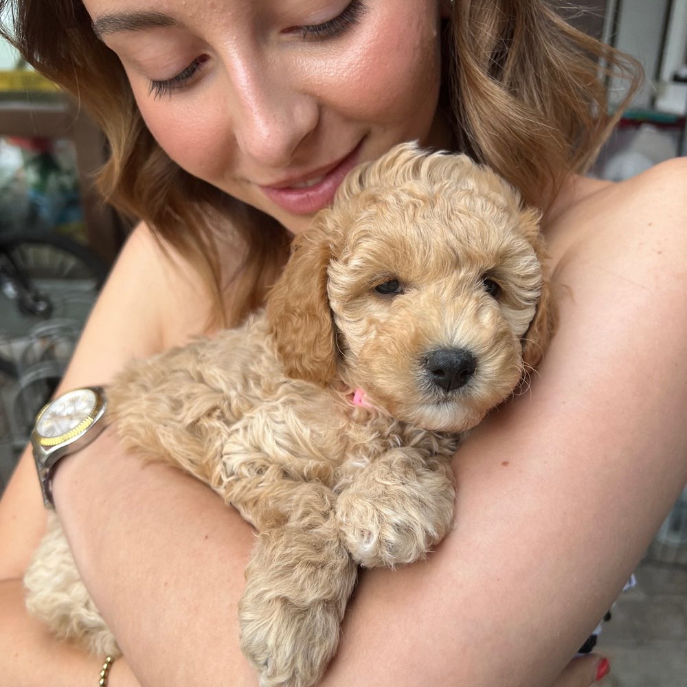 Hundetreffen-Regelmäßige Spiel/Spaß/Trainings- und Gassirundenpartner gesucht 🐶🫶🏼-Profilbild