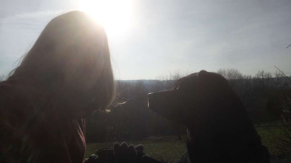 Hundetreffen-Bis zu 3h Gassirunde-Profilbild