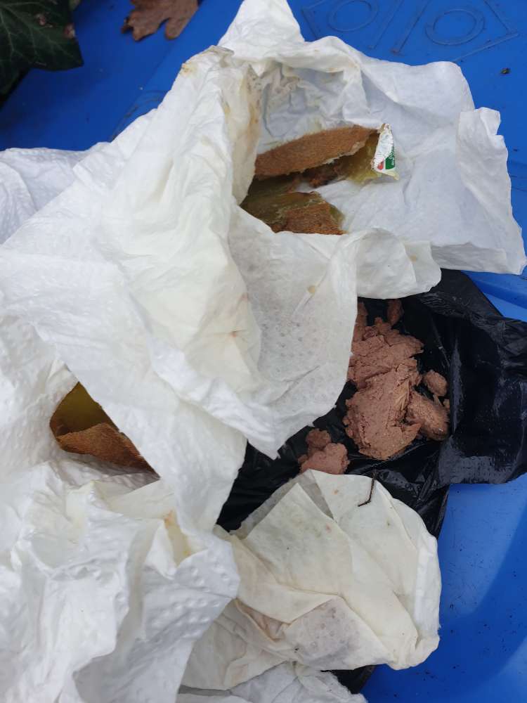 Giftköder-Präparierte Kotbeutel-Profilbild