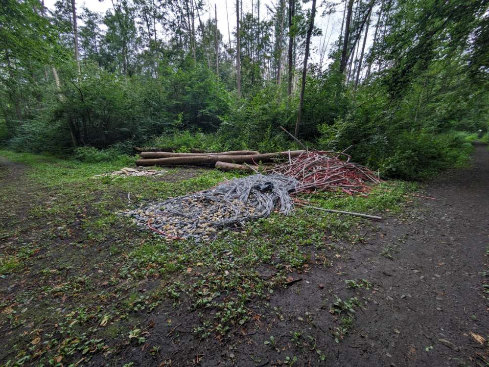 Giftköder-Verletzungsgefahr durch Sperrmüll-Profilbild