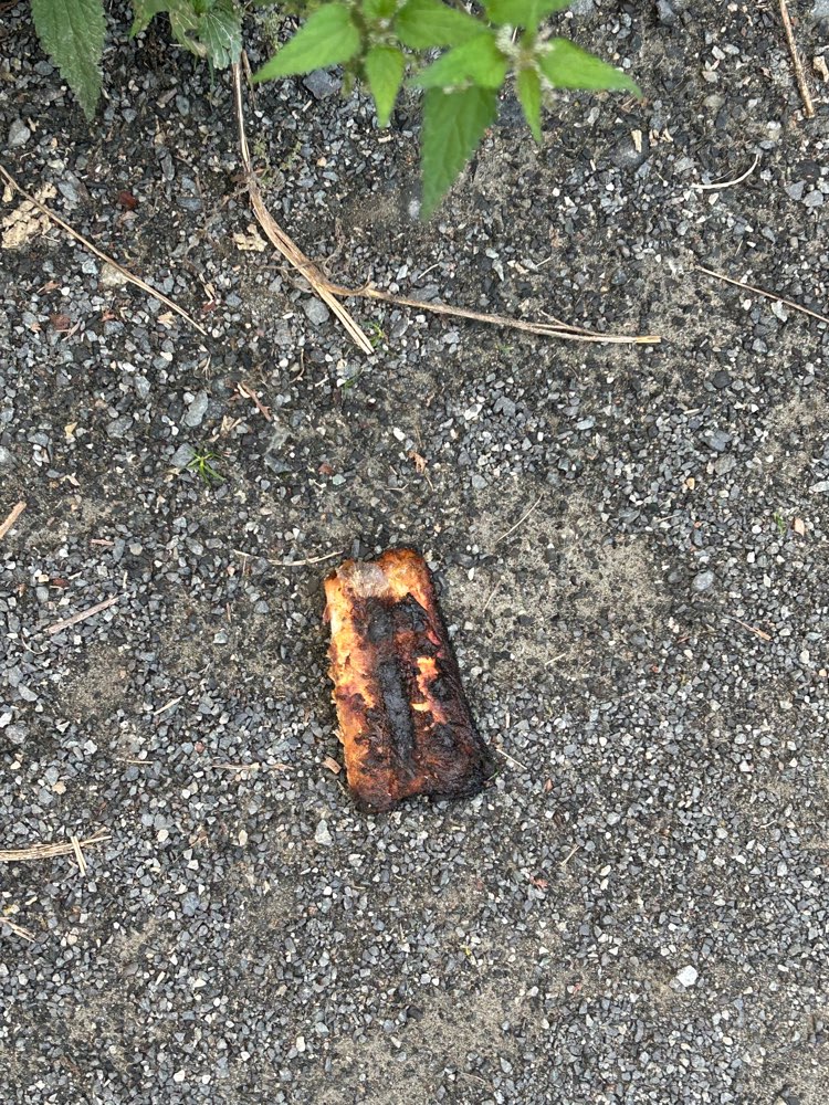 Giftköder-Bratwurst-Profilbild