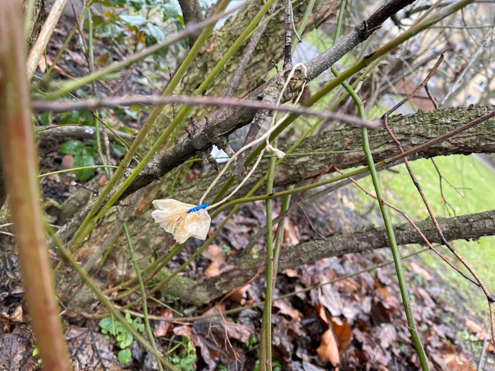 Giftköder-Wurststück im Gebüsch aufgehängt-Profilbild