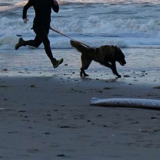 Hundetreffen-Canicross-Profilbild