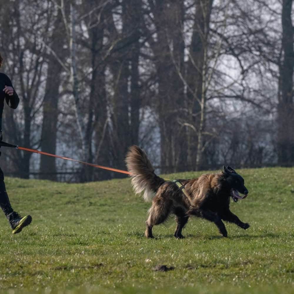 Hundetreffen-Canicross-Profilbild