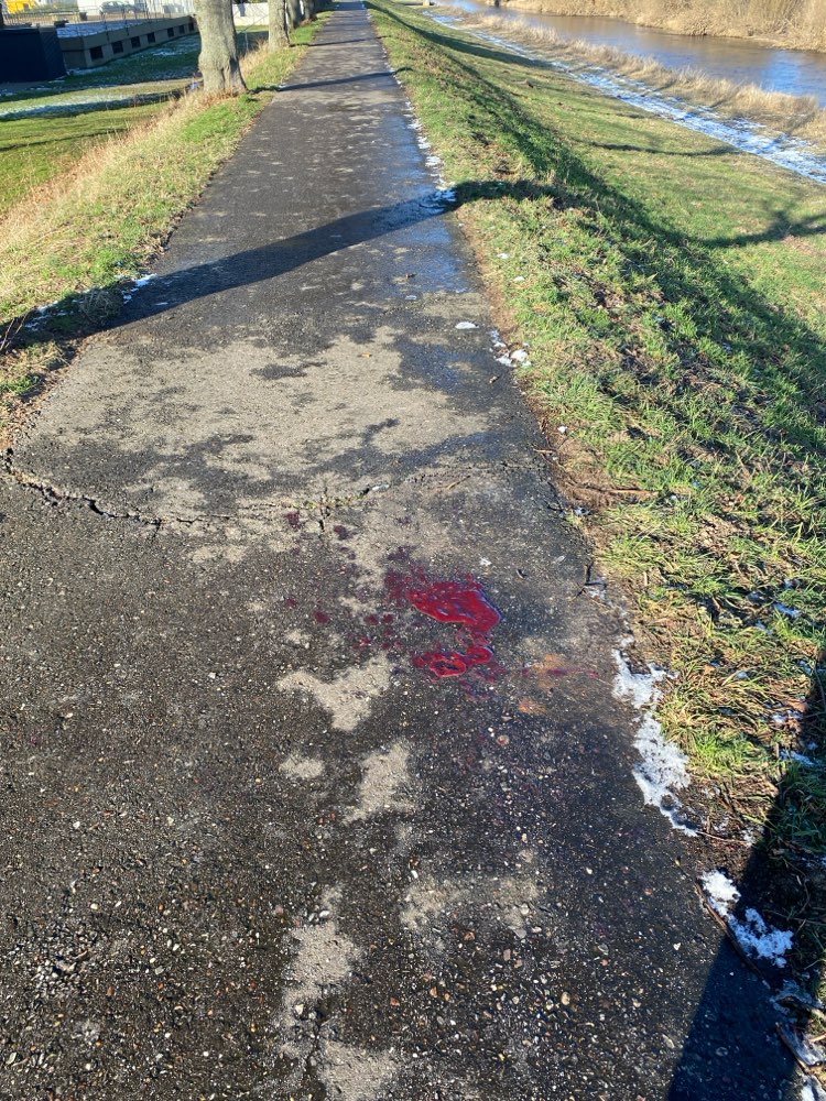 Giftköder-Vermutlich Giftköder-Profilbild