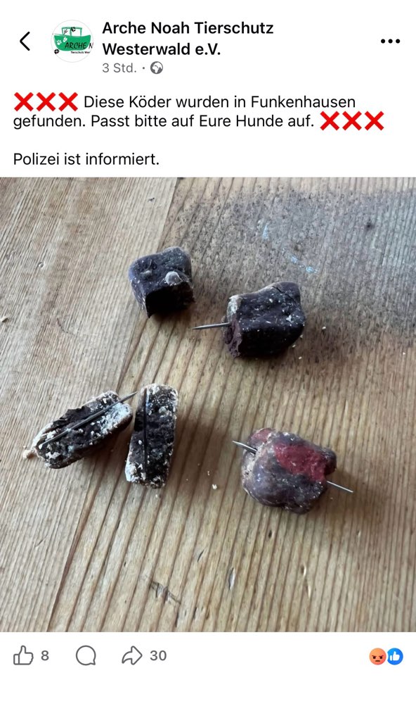 Giftköder-Giftköder Fund-Profilbild