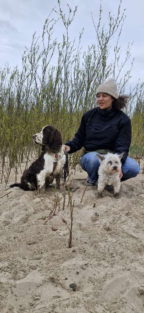 Hundetreffen-Socialwalk Planten und Bloomen-Profilbild