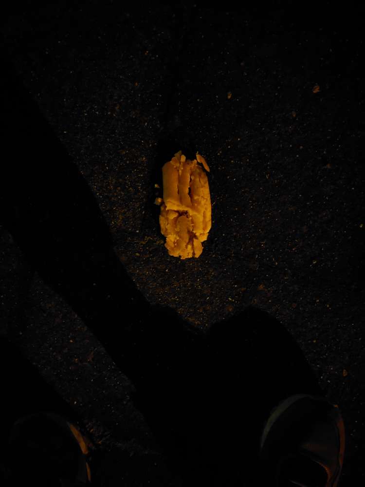 Giftköder-Giftköder-Profilbild