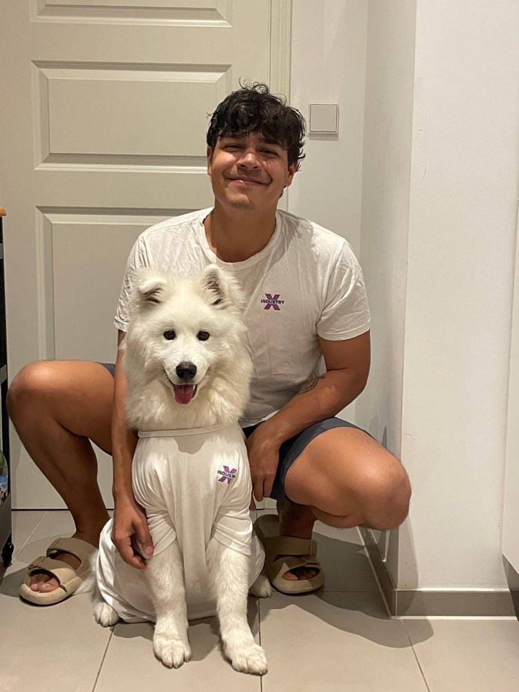 Hundetreffen-Verspielter Samojede sucht Gassi/SpielkameradIn-Profilbild