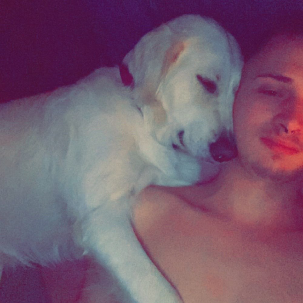 Hundetreffen-Ein kleines kennenlern treffen in schramberg-Profilbild