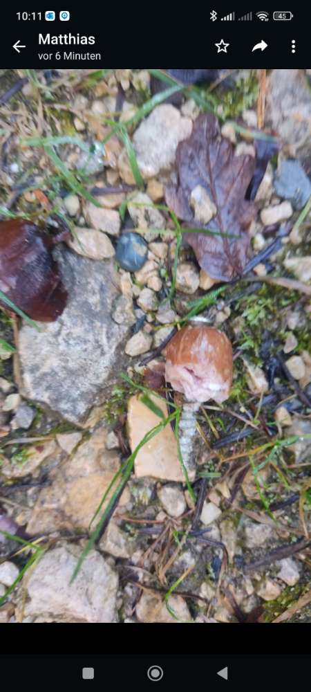 Giftköder-Würstchen mit Schraube!-Profilbild