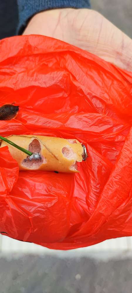 Giftköder-Wurst mit Schrauben-Profilbild