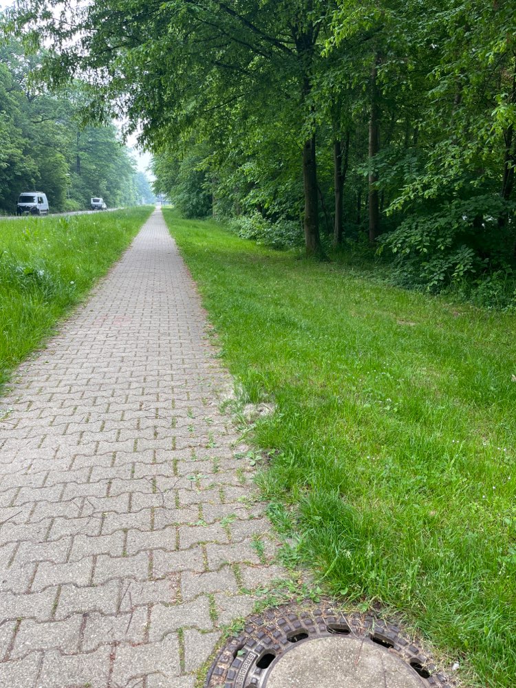 Giftköder-Würstchen am Wegesrand-Profilbild