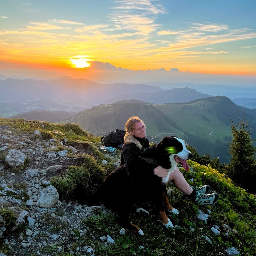 Hundetreffen-Gassi/Spiel- Buddy gesucht 🐾-Profilbild