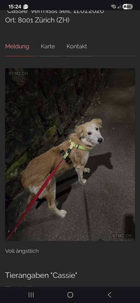 Suchmeldung-Cassie-Profilbild