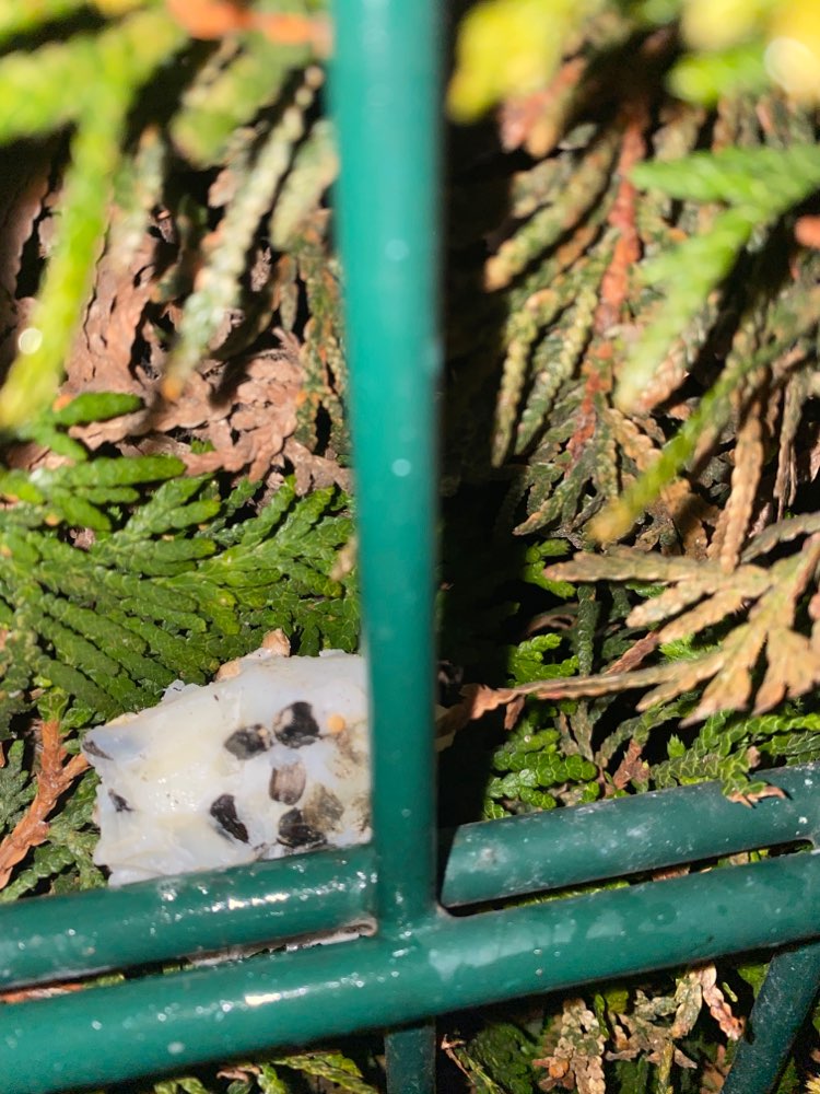 Giftköder-Undefinierbare Substanz-Profilbild