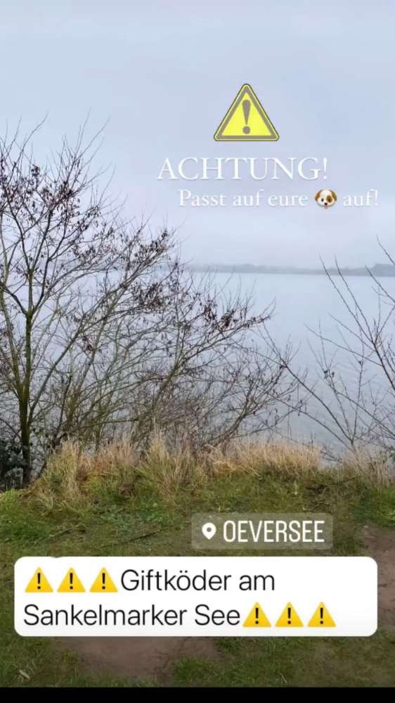 Giftköder-Giftköder am Sankelmarker See-Profilbild