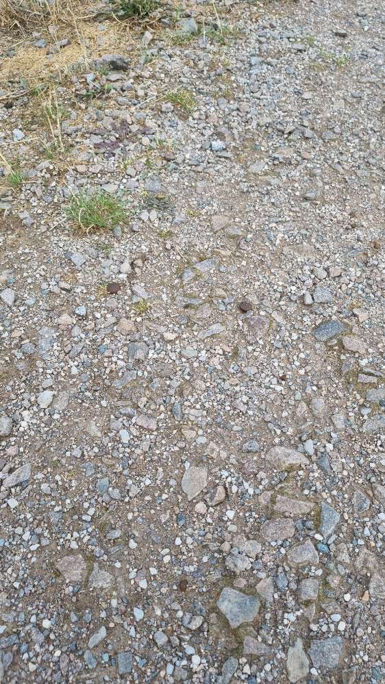 Giftköder-Trockenfutter-Profilbild