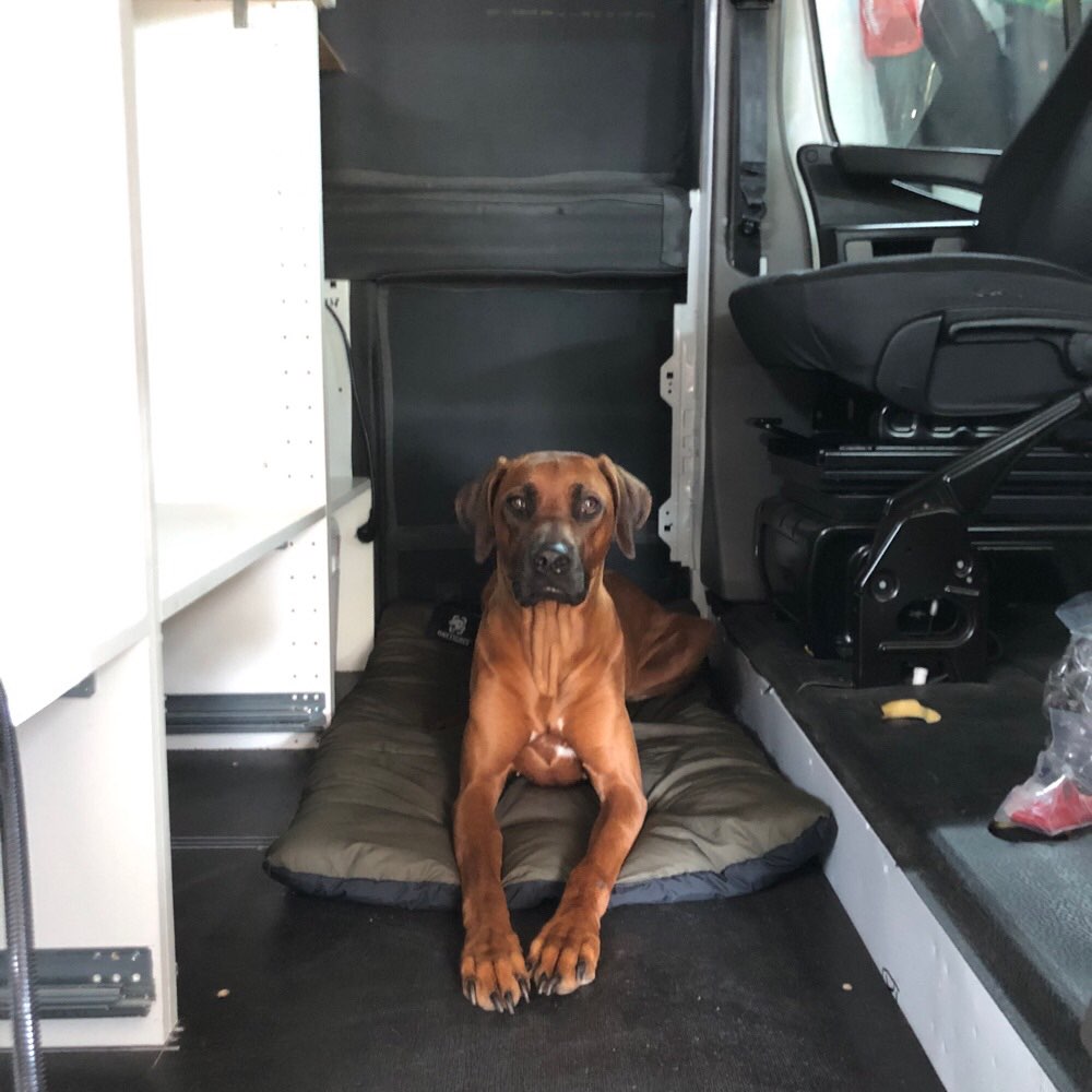 Suchmeldung-Kaia (Kinaya)-Profilbild