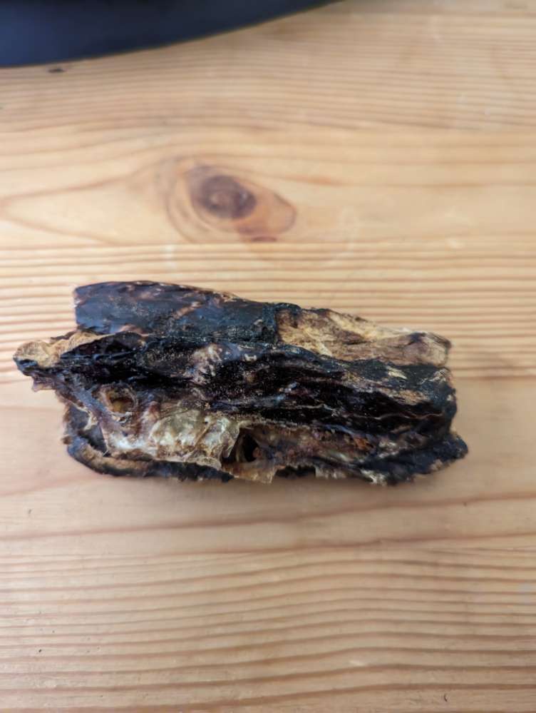 Giftköder-Möglicher Giftköder-Profilbild