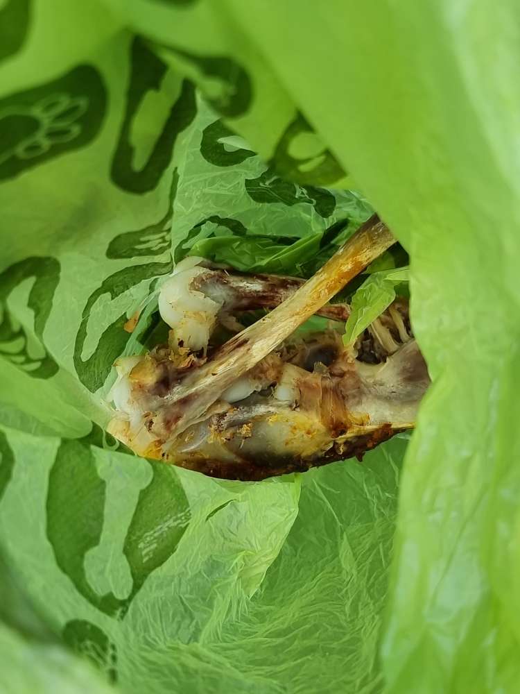 Giftköder-Knochen / Fleisch Bremervörde-Profilbild