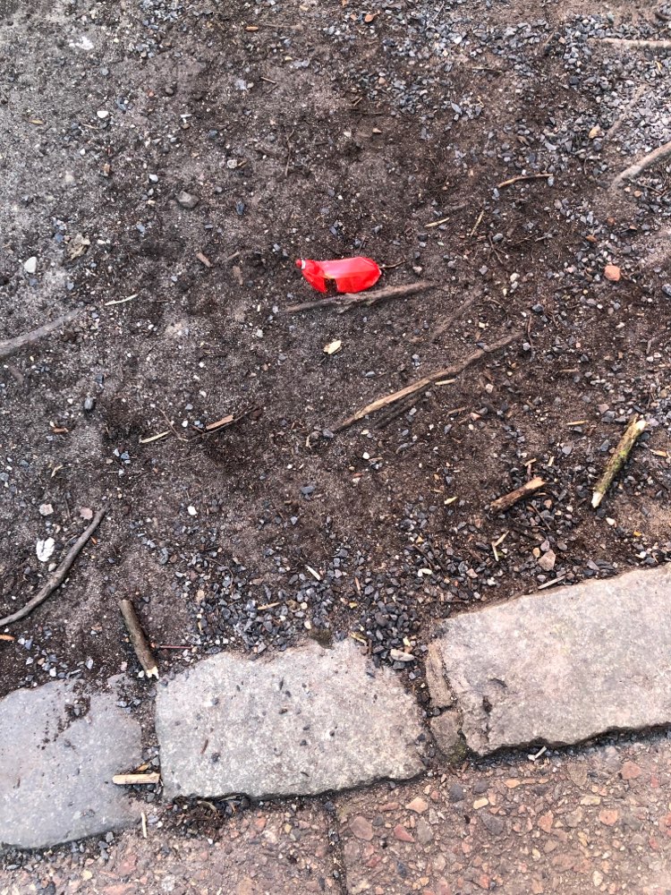 Giftköder-Giftköder-Profilbild