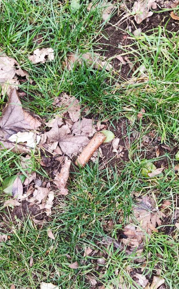 Giftköder-rohe Würste, evtl. Köder-Profilbild