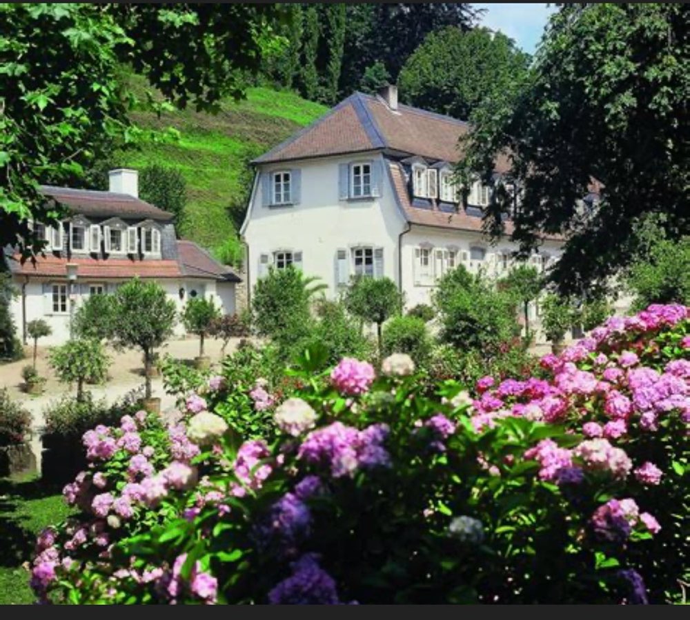 Hundetreffen-Hundewanderung an der Bergstraße-Profilbild