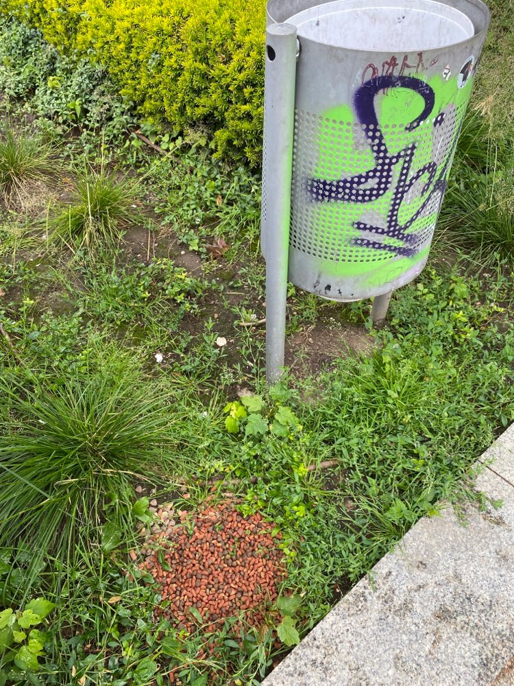 Giftköder-Große Menge unbekannter Stückchen-Profilbild