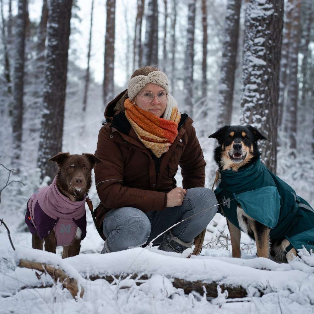 Hundetreffen-Suchen sozialverträgliche Hunde-Profilbild