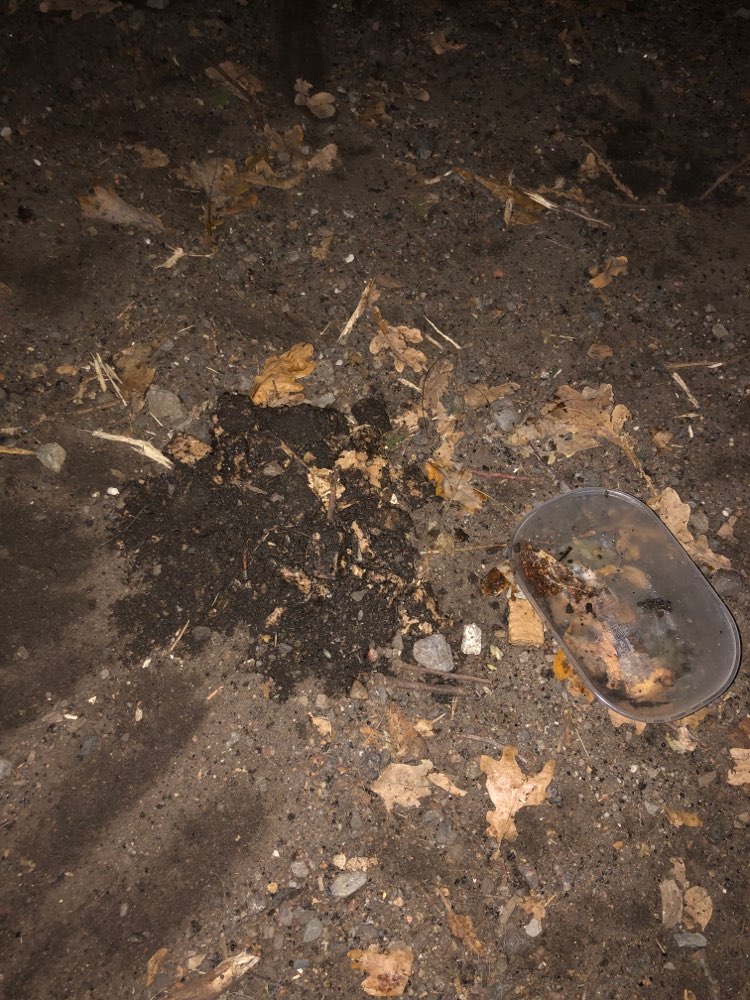 Giftköder-Hundefutter unter Erde versteckt!-Profilbild