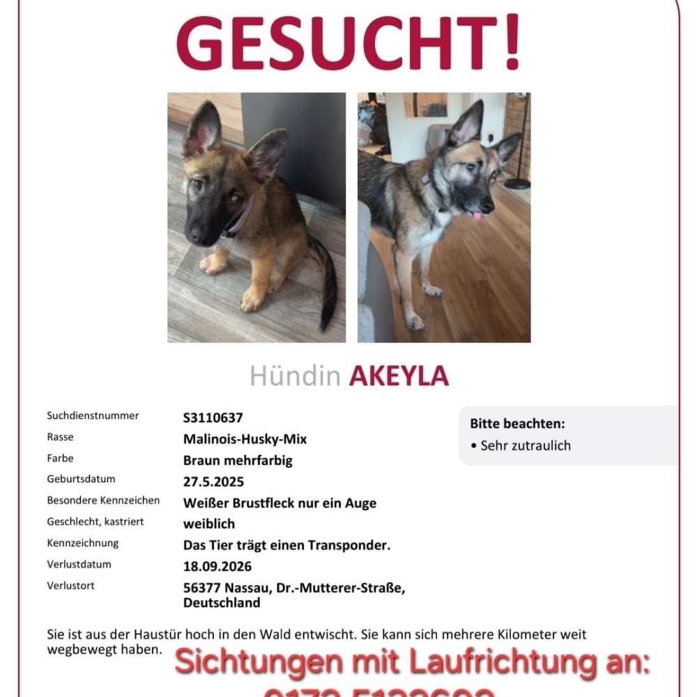 Suchmeldung-Akeyla-Profilbild