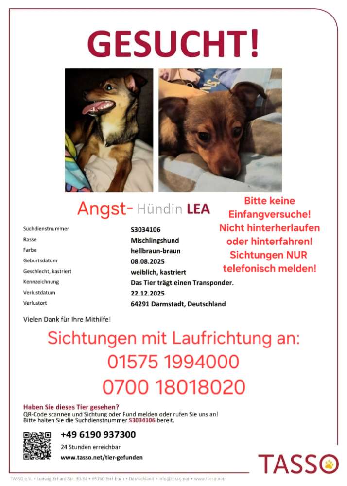 Suchmeldung-Lea-Profilbild