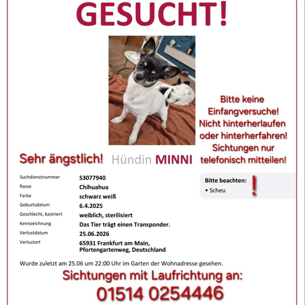 Suchmeldung-Minni-Profilbild