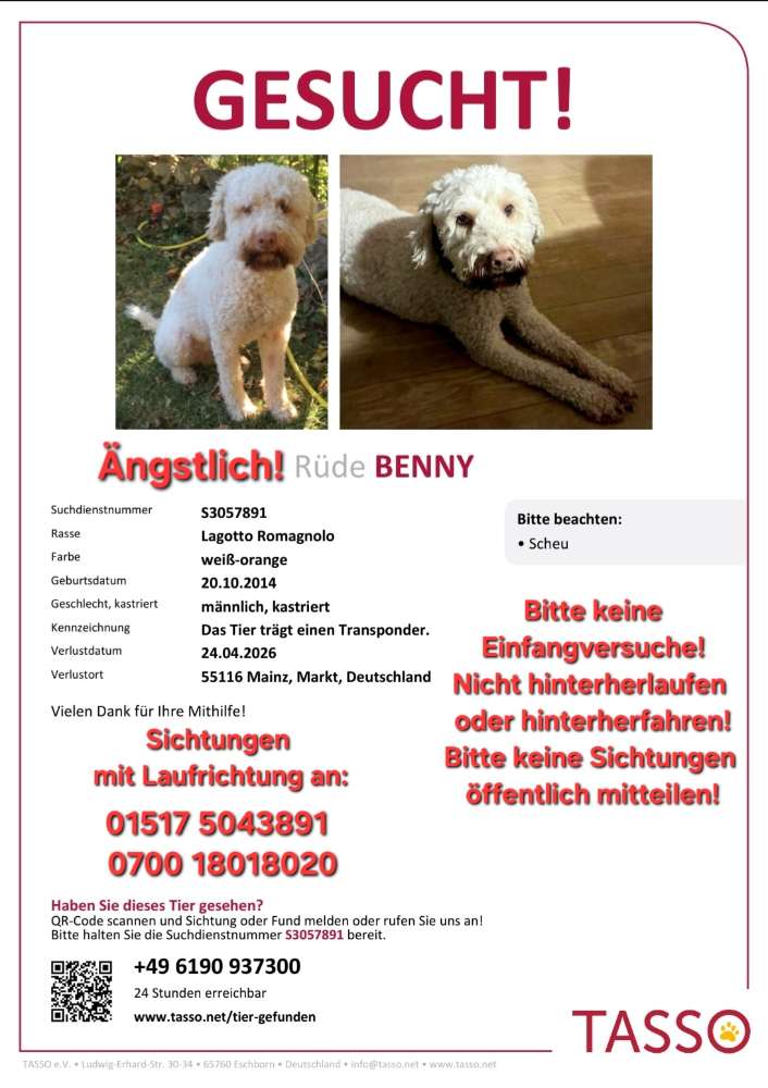 Suchmeldung-Benny-Profilbild