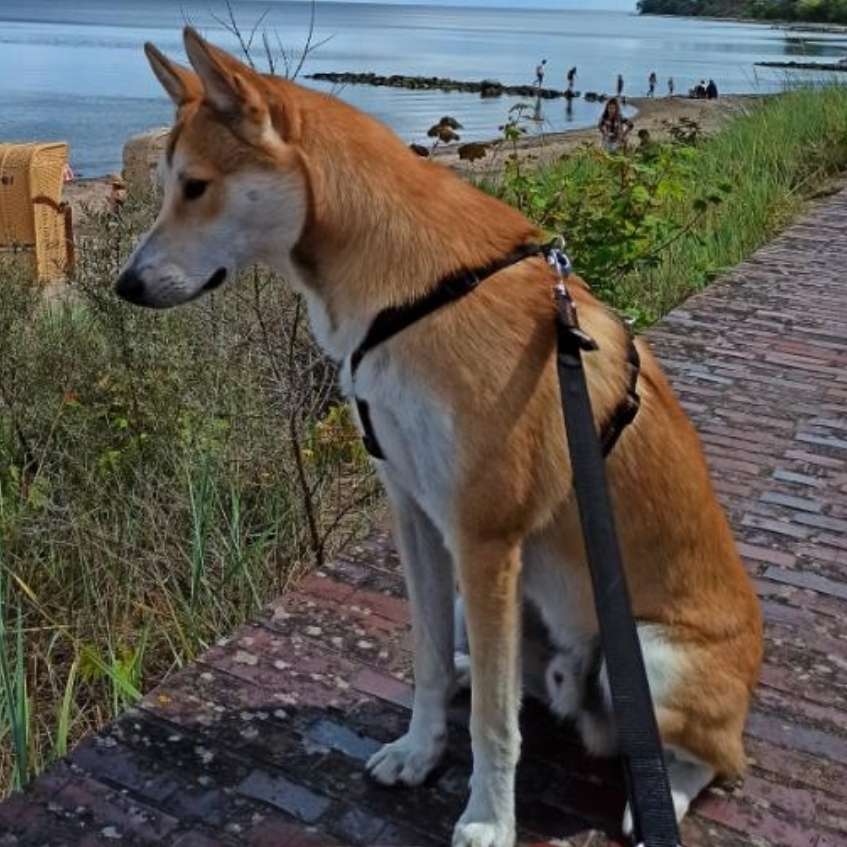 Suchmeldung-Bonny-Profilbild