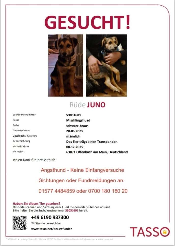 Suchmeldung-Juno-Profilbild